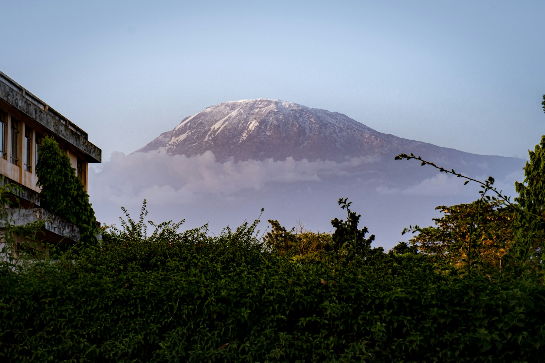 Mount Kilimanjaro rising above green vegetation and buildings in Moshi, Tanzania.